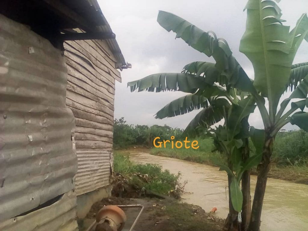 www.griote.tv