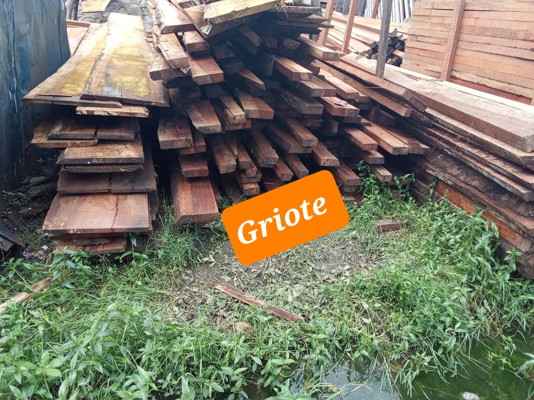 www.griote.tv