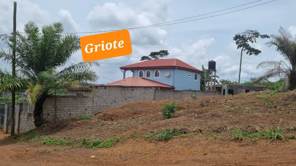 www.griote.tv